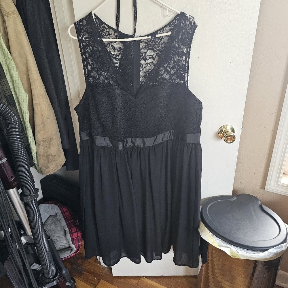 Womens sleeveless lace dress.